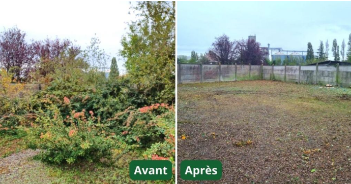Avant après débroussaillage et entretien des emprises