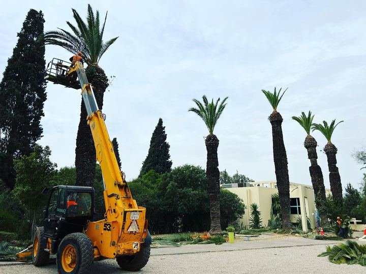 Travaux forestiers